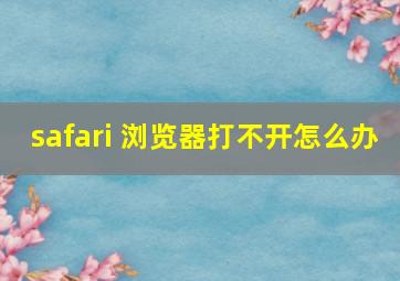 safari 浏览器打不开怎么办